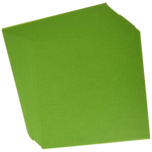 [ ܂莆 Жʂ肪 PF 24cmp I[u 50 075119