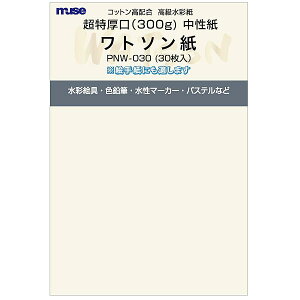 ~[Y ͂p |XgJ[hpbN g\ PNW-030 30