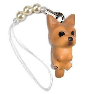  Dog 92 Yorkshire Terrier [NV[eA S[h r[Y Xgbv DN-1701