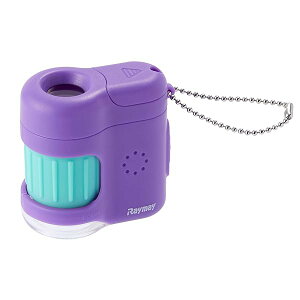  nfB petit oCIbg RXT1142V