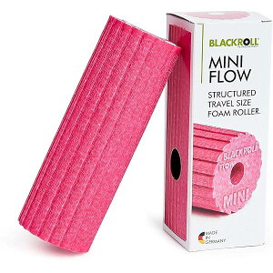 �h�C�c�� �t�H�[�����[���[ �~�j FLOW 20g 15cm×6cm (�s���N)