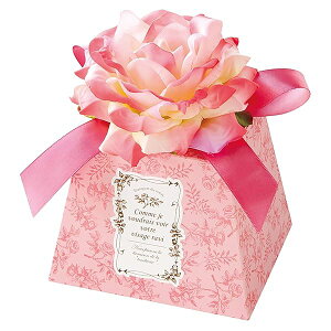 Mtg{bNX tOgt[ԕt sN-M (10) ZTP-GM