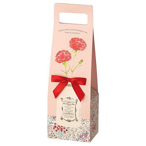 Mtg{bNX 10.5×7×31.5(12.5)cm 10 sN J[l[V ̓ t MA-GB1