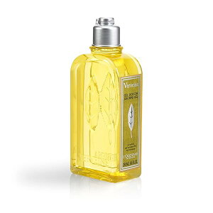 @[xi V[WF 250mL {fB\[v  j Y lC
