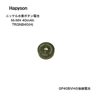 ���ő�2000�~OFF�N�[�|���� Hapyson �n�s�\�� �\�[���[�e�[���p�j�b�P�����f�d�r Ni-MH 40mAh TRQNB40(h) �{�^���d�r GP40BVH ��p���f��