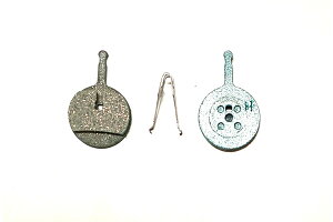 ATqTCN evol-F207 EAF207 p fBXNu[Lpbh ]ԗp