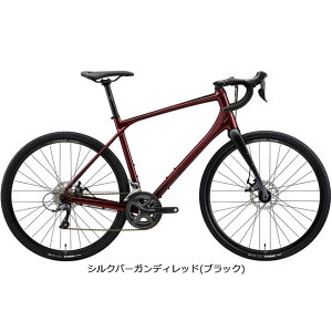 4/30�`5/5�ő�1200�~OFF�N�[�|������y���������z�����_ �y�l�b�g�ʔ̌���Z�[���zSILEX 100�i�T�C���b�N�X100�j�f�B�X�N�u���[�L �O���x�����[�h �V�N���N���X�o�C�N ���]�� -24