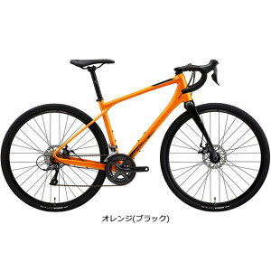 10���`12���ő�1800�~OFF�N�[�|������y���������z�����_ �y�l�b�g�ʔ̌���Z�[���zSILEX 100�i�T�C���b�N�X100�j�f�B�X�N�u���[�L �O���x�����[�h �V�N���N���X�o�C�N ���]�� -24