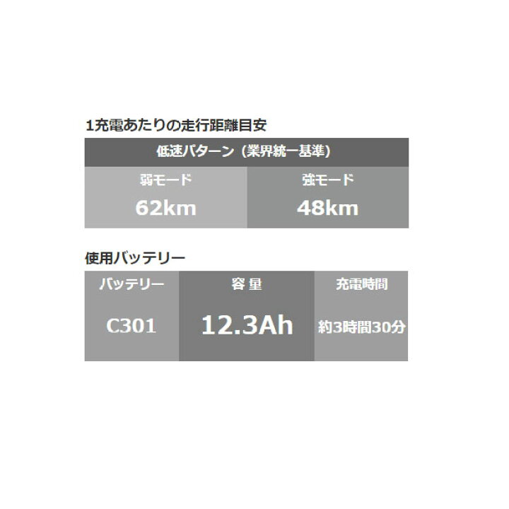 楽天市場】1月30日〜2月1日最大1800円OFFクーポンあり【送料無料 