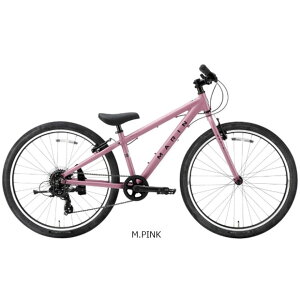 1130`121ő1200~OFFN[|y`12/25܂Ł|Cgő3{(Gg[v)zyz} DONKY JR 26ihL[ WjA 26j26C` 7iϑ qp ] -26