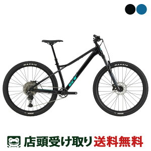 GT ZASKAR LT Elite 29 UXJ[ LT G[g 29 2025 MTB }EeoCN X|[c] 11iϑ [25 ZASKAR LT ELITE]