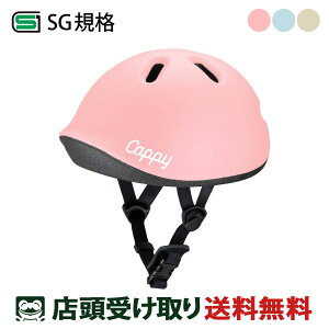  ACfX ACfX ides Cappy Petit Lbs[ v` ] qpwbg 1`4 SG [Cappy Petit_2]