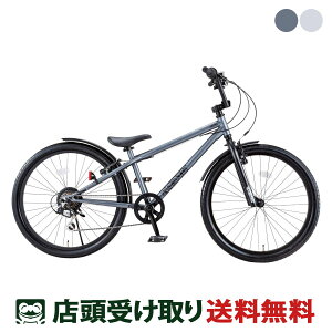 DoCN D-Bike D-Bike BMXSTREET 24 D-oCN r[GGNXg[g 24 j̎q q] 24C` 8΁`11 6iϑ [D-Bike BMXSTREET 24]