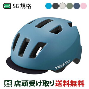 OGK KABUTO ] qpwbg eX^ Jug SG TESTA