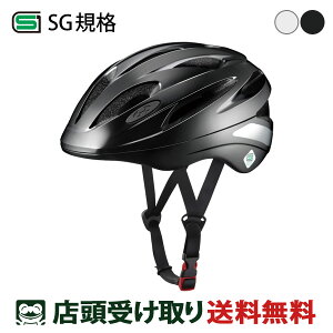  OGK KABUTO ] lpwbgEEFA SN-13 Jug SG SN-13