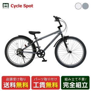 �|�C���g+5�{ 10/14-10/17����@�q�����]�� D�o�C�N D-Bike BMXSTREET 24 �X�g���[�g 24�C���` 2027 D-Bike 8�΁`11�� [26 BMXSTREET 24]
