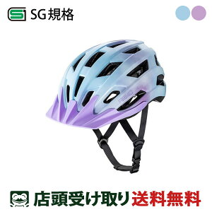  DoCN D-Bike ARMO Helmet fB[oCN wbg A j ] qpwbg SGKi [ARMO Helmet]