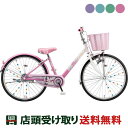 子供自転車 ブリヂストン エコパル20 20インチ BRIDGESTONE [EPL001]