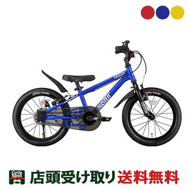 スーパーセール10%オフ Dバイク D-Bike D-Bike Master+ 14 D-バイク マスタープラス 14 男の子 幼児自転車 子供 14インチ 3歳～5歳 [D-Bike Master+ 14]