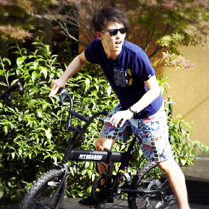 楽天市場】BMX 20インチ 自転車 街乗り 折り畳み サスペンション 