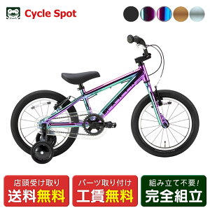 �L�b�Y �q�� �c���p ���]�� �X�|�[�c �}���� DONKY JR16 10th Anniv. Ltd. �h���L�[ 16�C���` 2026 MARIN [26 DONKY JR16 10LTD]