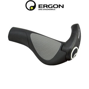 GS Obv ERG GP2