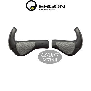 GS Obv ERG GP2