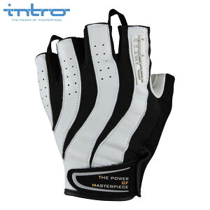 intro@Cg Trigger2 gK[2 Silver White n[ttBK[ oCNO[u