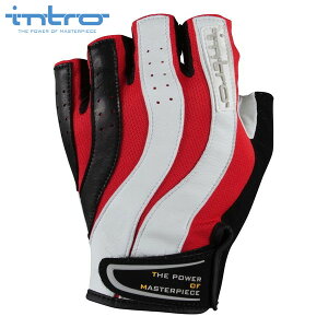 intro@Cg Trigger2 gK[2 Red n[ttBK[ oCNO[u