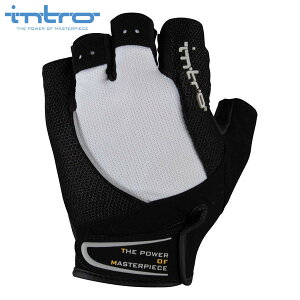 intro@Cg Stinger2 XeBK[2 Pure White n[ttBK[ oCNO[u