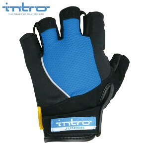 intro@Cg Stinger2J XeBK[2 WjA Blue WjA n[ttBK[ oCNO[u