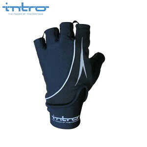 intro@Cg Stealth 2 XeX2 Black n[ttBK[ oCNO[u