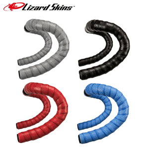 LIZARD SKINS U[hXLY DSP 4.6 V2 o[e[v