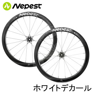 Nepest lyXg NOVAzC[ Z~bNnut `FbgF36T [U[+zCgfJ[