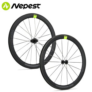 Nepest lyXg SPEEDN u[LzC[ J[{X|[Nt `FbgF36T