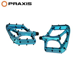 PRAXIS WORKS �v���N�V�X���[�N�X BRODIUM �y�_�� AQUA(BLUE)