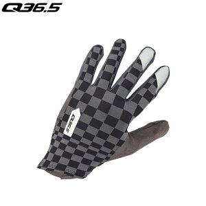 Q36.5 Hybrid Gloves Check Grey MTCY TCNOO[u