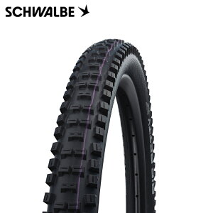 SCHWALBE シュワルベ BIG BETTY ビッグベティ 29x2.40 Super Downhill / ADDIX Ultra Soft MTBタイヤ