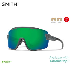 SMITH スミス Wildcat Asia Fit | Frame:Matte Cement | Lens:CP-Green Mirror & Clear サングラス