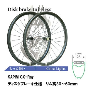 SMITH X~X CeraLight SAPIM CX-Ray  26mm (19C) fBXNu[Ldl J[{zC[ OZbg