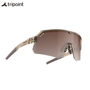 Tripoint �g���C�|�C���g Treriksroset Transparent Brown/Gradient brown �T���O���X