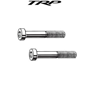 TRP Lp[Œ{g tbg}Eg{g M5x32mm eB[A[s[