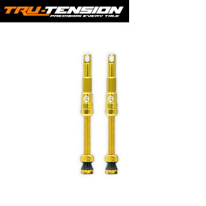 TRU-TENSION �g�D���[�e���V���� FILLFAST HIGH-FLOW ANTI-CLOG VALVE 80mm Gold �o���u