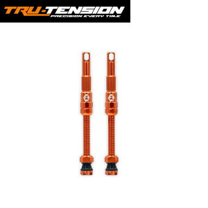 TRU-TENSION �g�D���[�e���V���� FILLFAST HIGH-FLOW ANTI-CLOG VALVE 80mm Orange �o���u