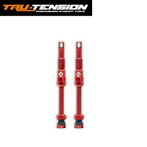 TRU-TENSION �g�D���[�e���V���� FILLFAST HIGH-FLOW ANTI-CLOG VALVE 80mm Red �o���u