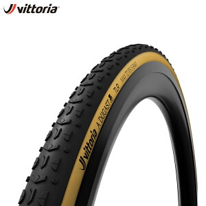 Vittoria BbgA A.Dugast Typhoon TLR Clincher 700x33c VNNX^C