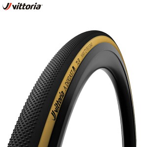 Vittoria BbgA A.Dugast Pipistrello TLR Clincher 700x33c VNNX^C