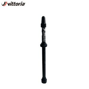 Vittoria BbgA MULTIWAY TUBELESS VALVE 100mm