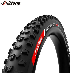 Vittoria BbgA Mostro Enduro RACE TLR All Black MTB^C