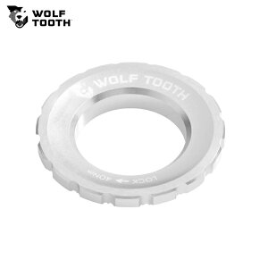 WolfTooth EtgD[X Centerlock Rotor Lockring Raw Silver bNO